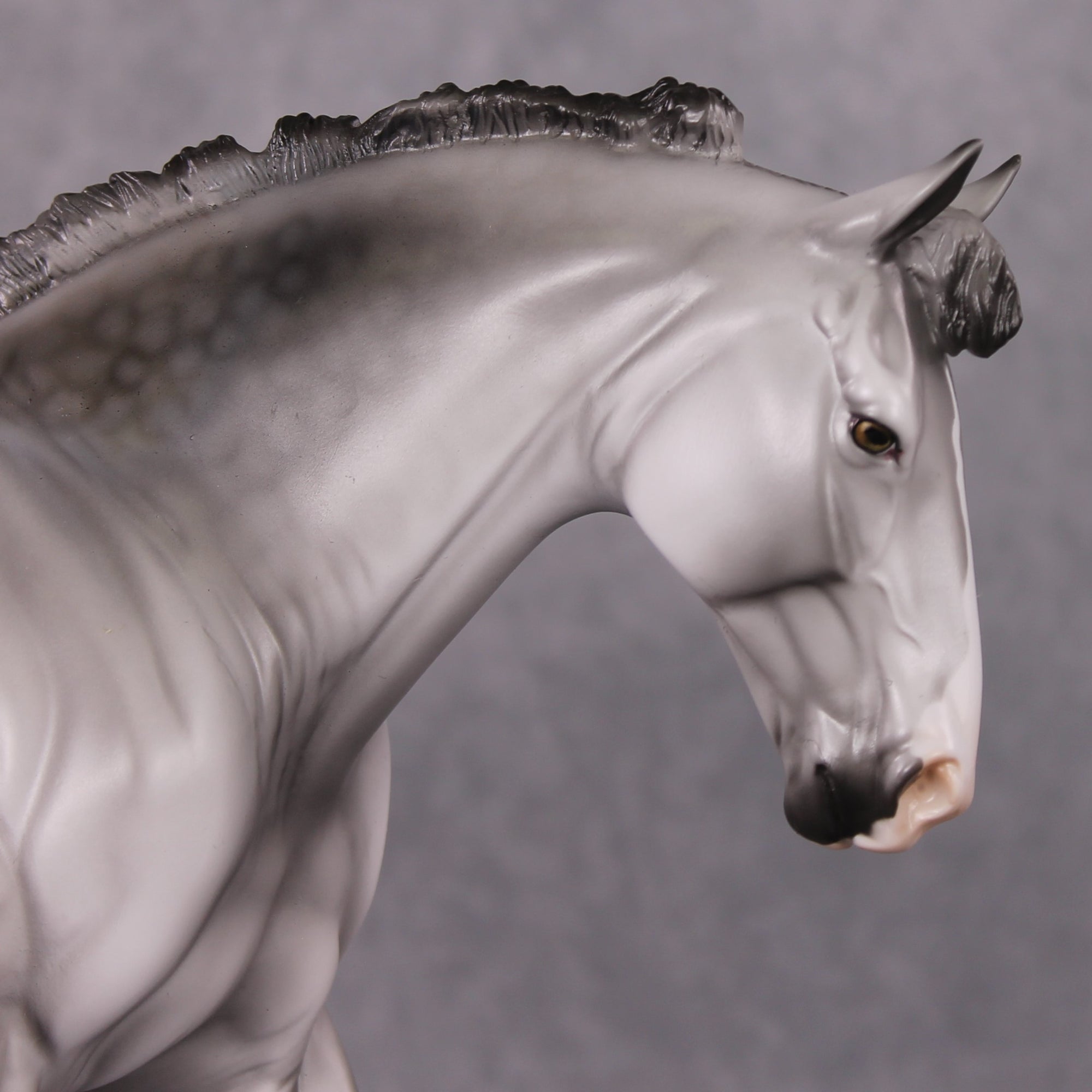 "Tiamet" LE-15 Custom Dapple Grey Irish Draught by Dawn Quick - Fantastical Fantasy Series - January Dragons Pre Order