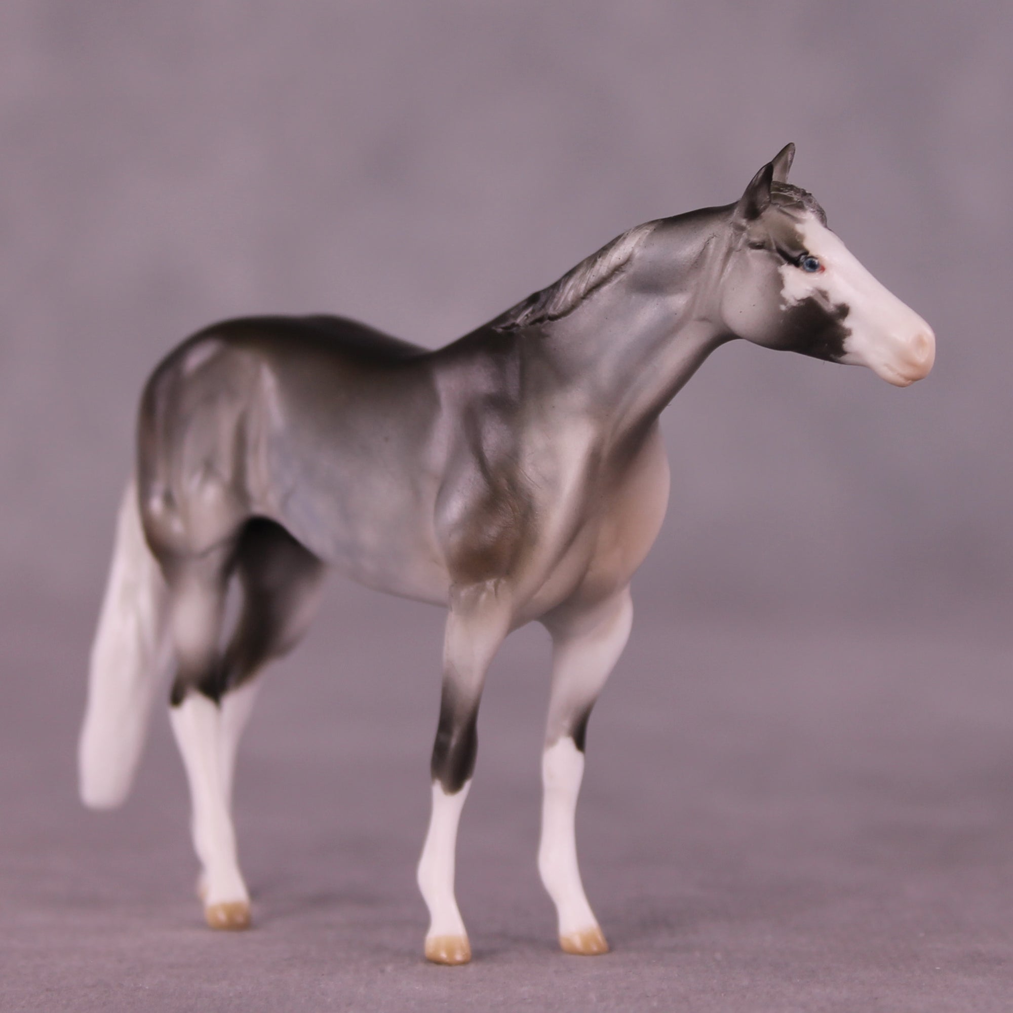 Calyx OOAK Chip Stock Horse by Julie Keim LHS25