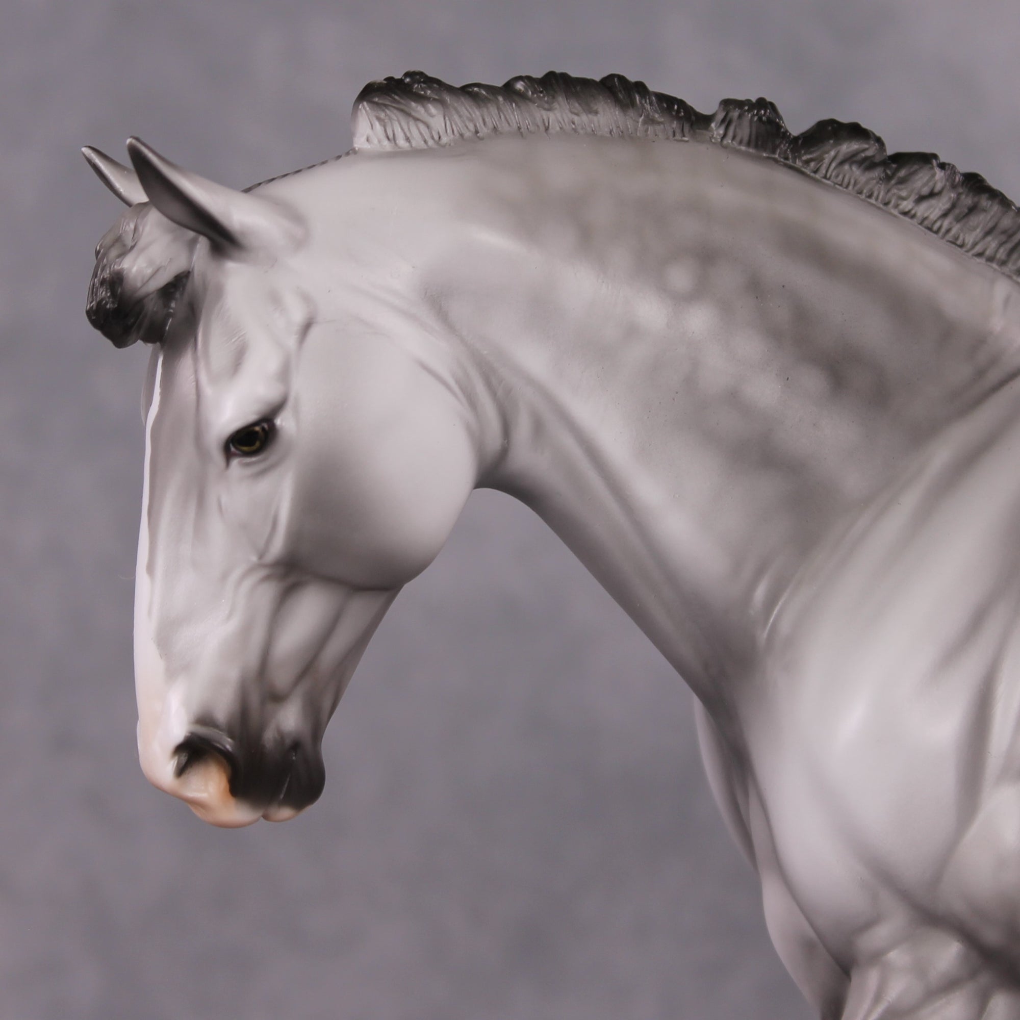 "Tiamet" LE-15 Custom Dapple Grey Irish Draught by Dawn Quick - Fantastical Fantasy Series - January Dragons Pre Order