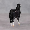 Waffles OOAK Custom Shaded Black Pony Chip By Kristin Cermele - Gemstone Series