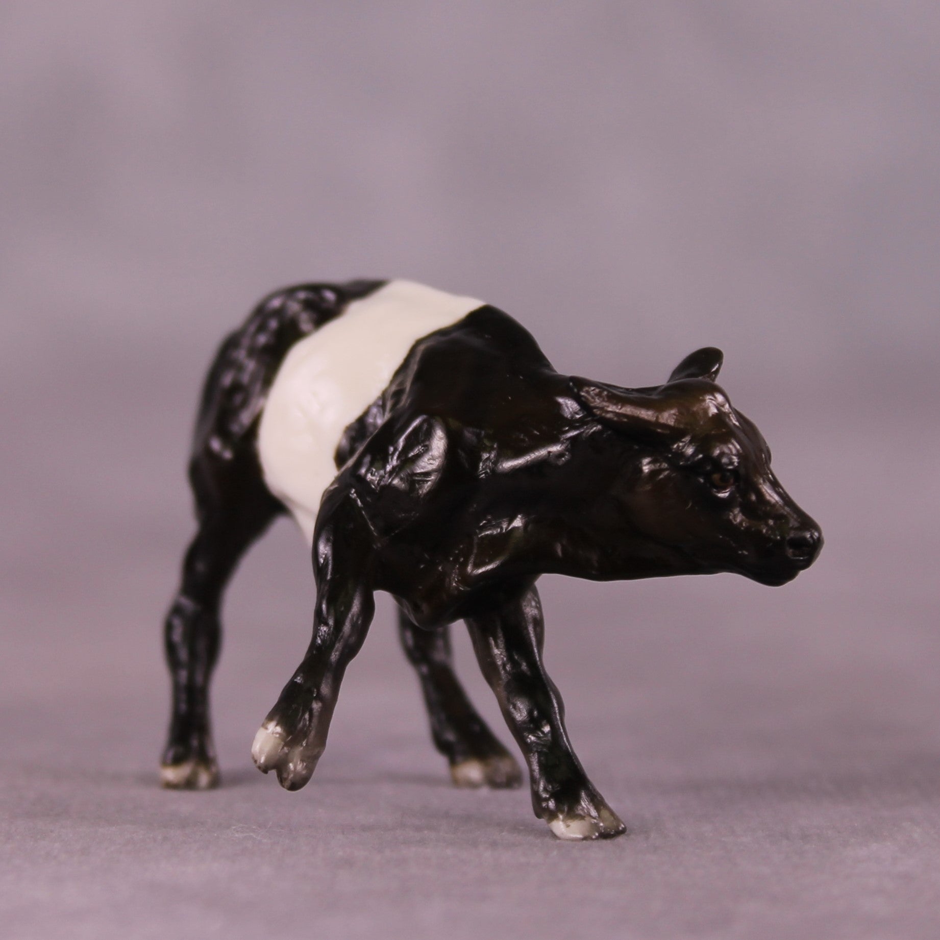 "Lee" OOAK Calf Chip by Julie Keim EQ25