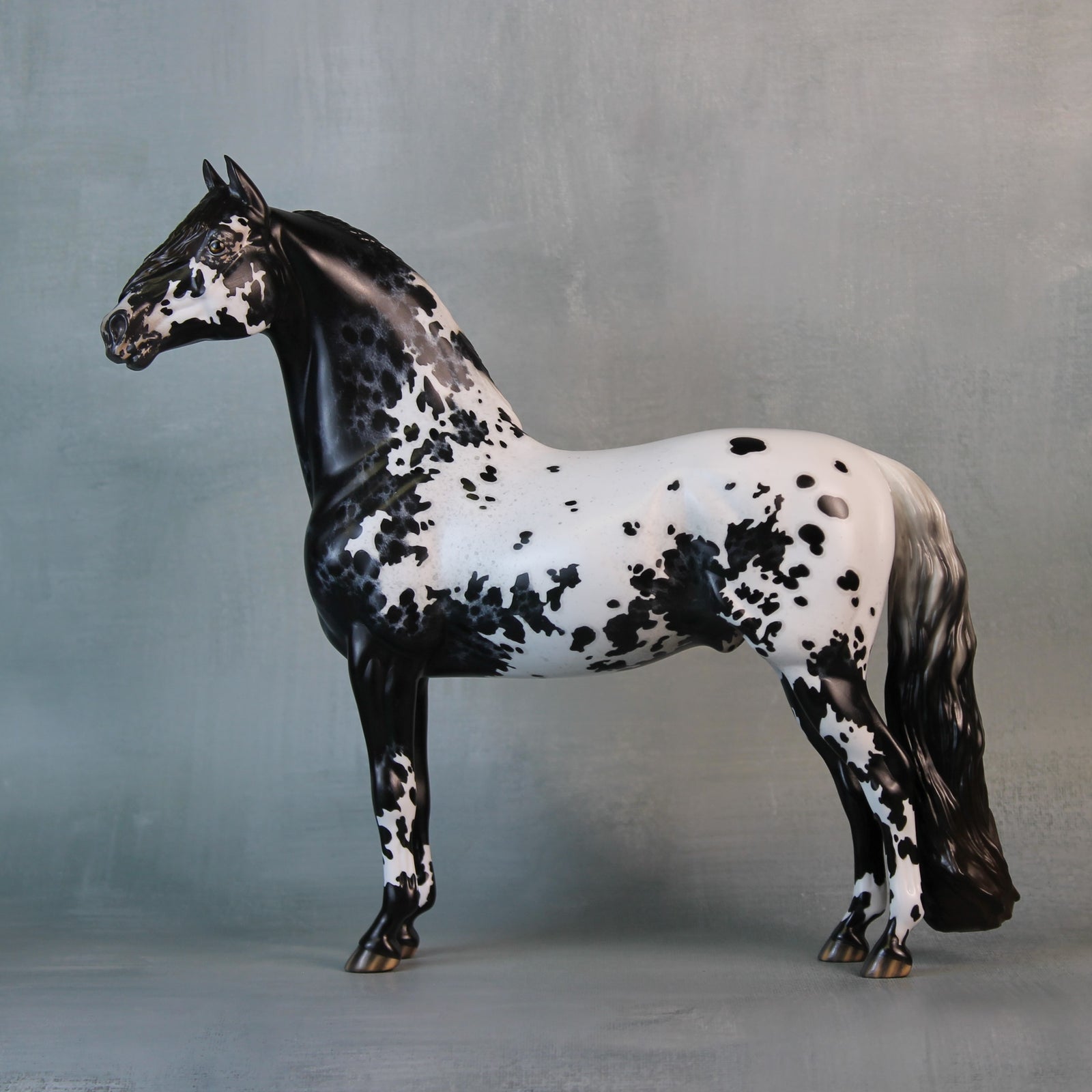 Endymion OOAK Black Appaloosa Custom Morgan By Jess Hamill Best Offers 9/10/24