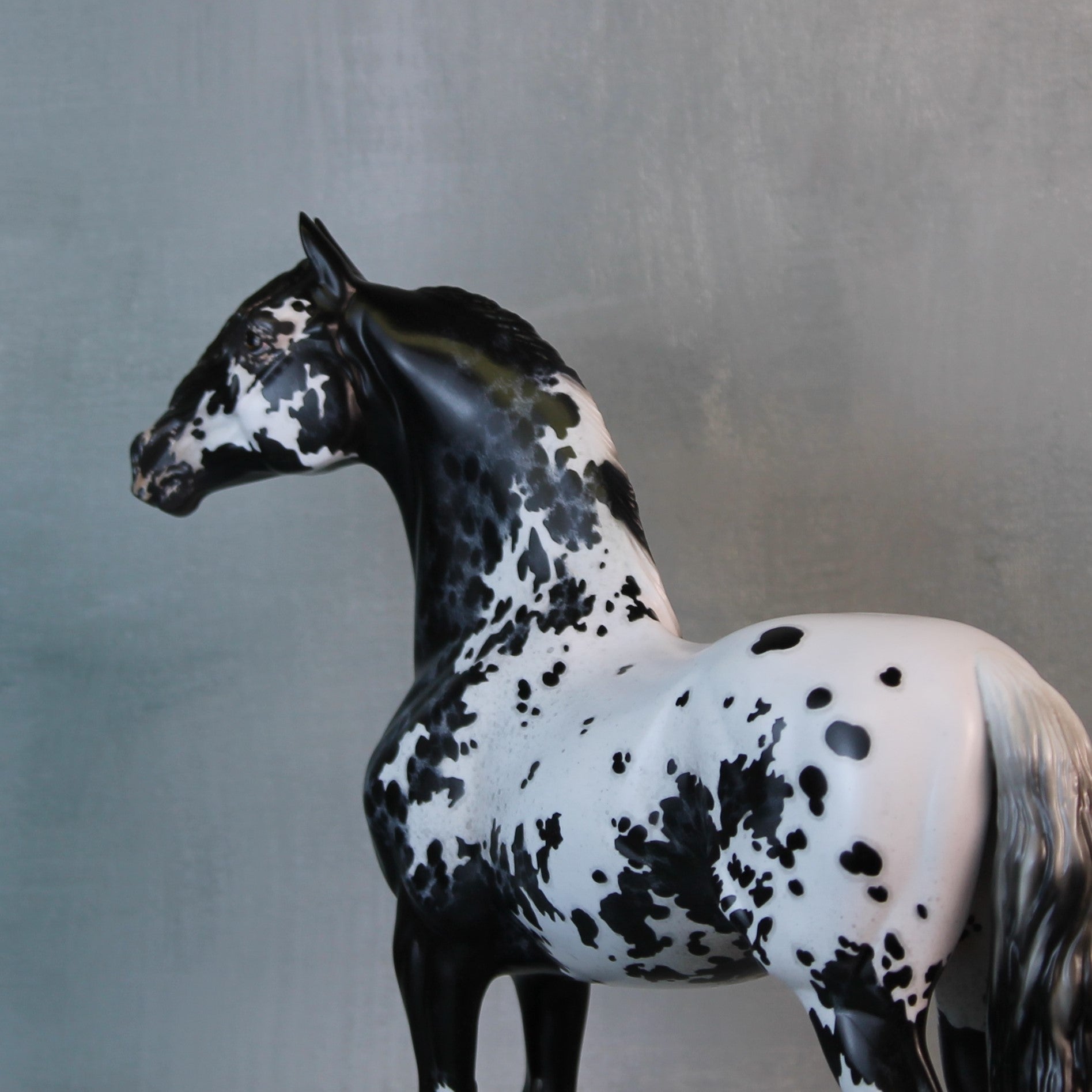 Endymion OOAK Black Appaloosa Custom Morgan By Jess Hamill Best Offers 9/10/24