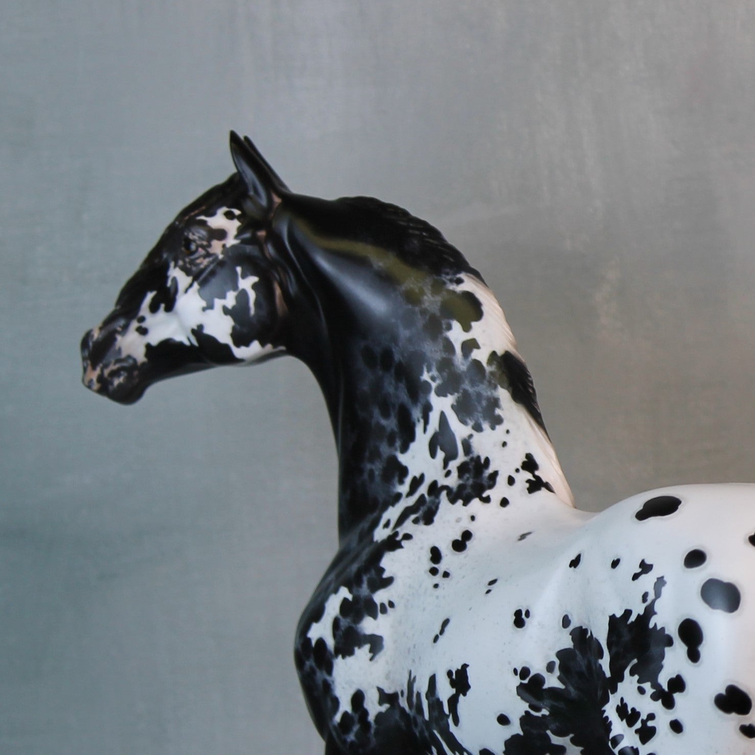 Endymion OOAK Black Appaloosa Custom Morgan By Jess Hamill Best Offers 9/10/24