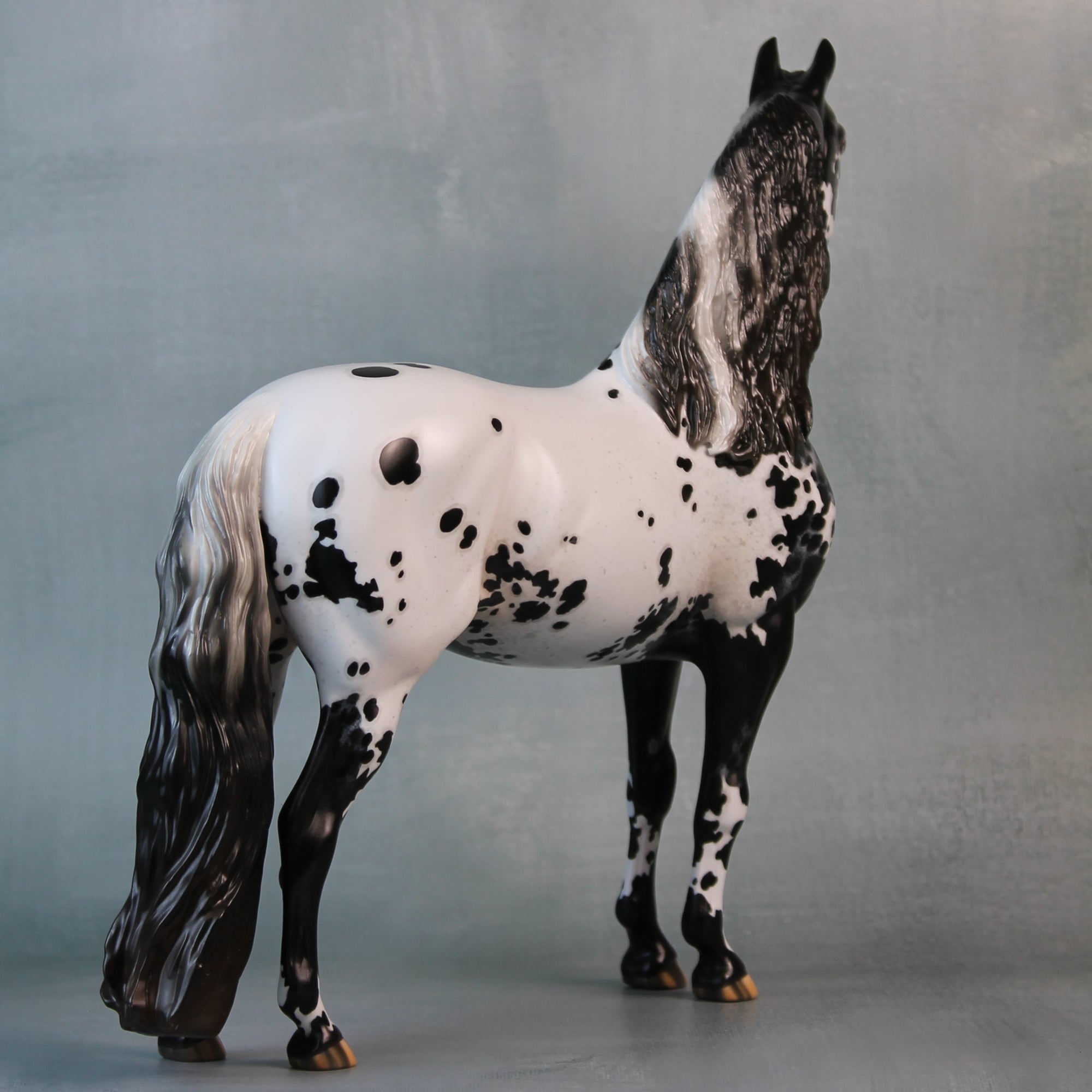 Endymion OOAK Black Appaloosa Custom Morgan By Jess Hamill Best Offers 9/10/24