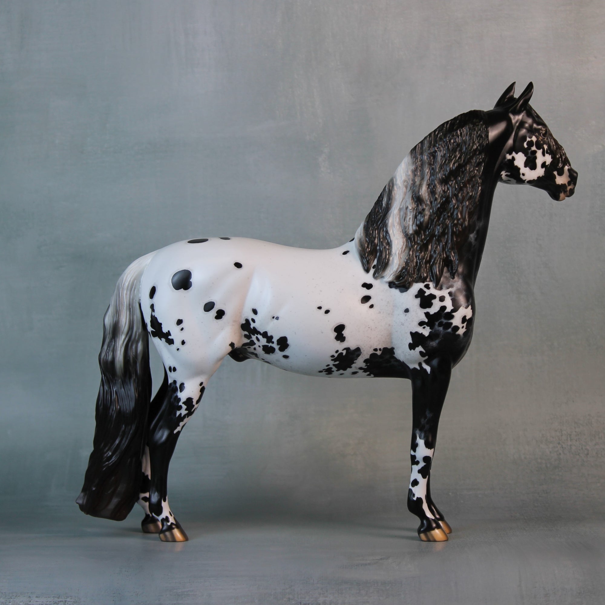 Endymion OOAK Black Appaloosa Custom Morgan By Jess Hamill Best Offers 9/10/24