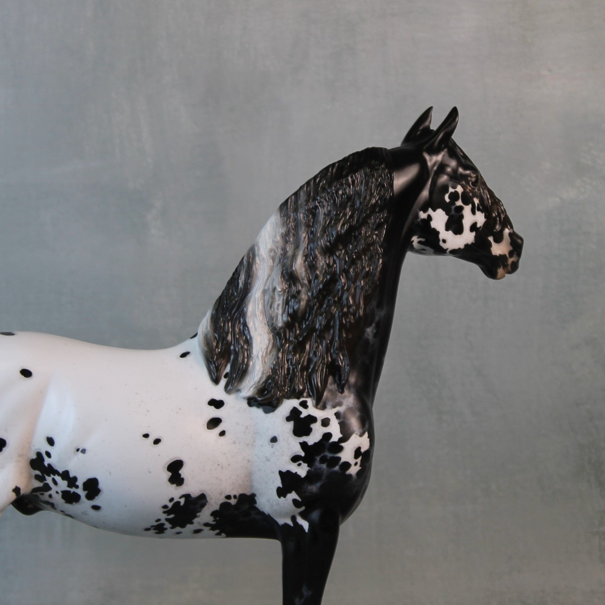 Endymion OOAK Black Appaloosa Custom Morgan By Jess Hamill Best Offers 9/10/24