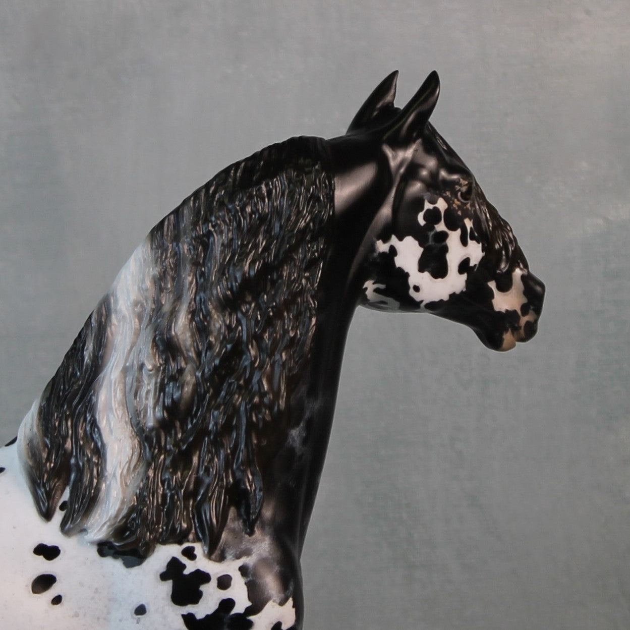 Endymion OOAK Black Appaloosa Custom Morgan By Jess Hamill Best Offers 9/10/24