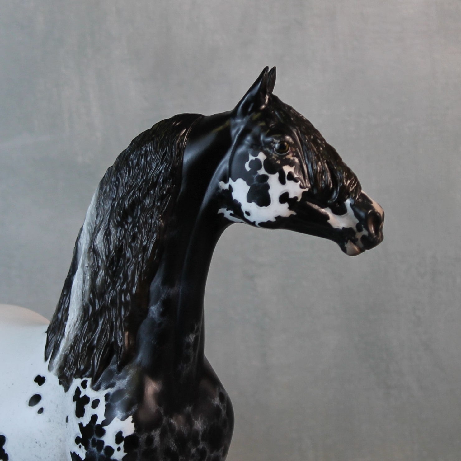 Endymion OOAK Black Appaloosa Custom Morgan By Jess Hamill Best Offers 9/10/24