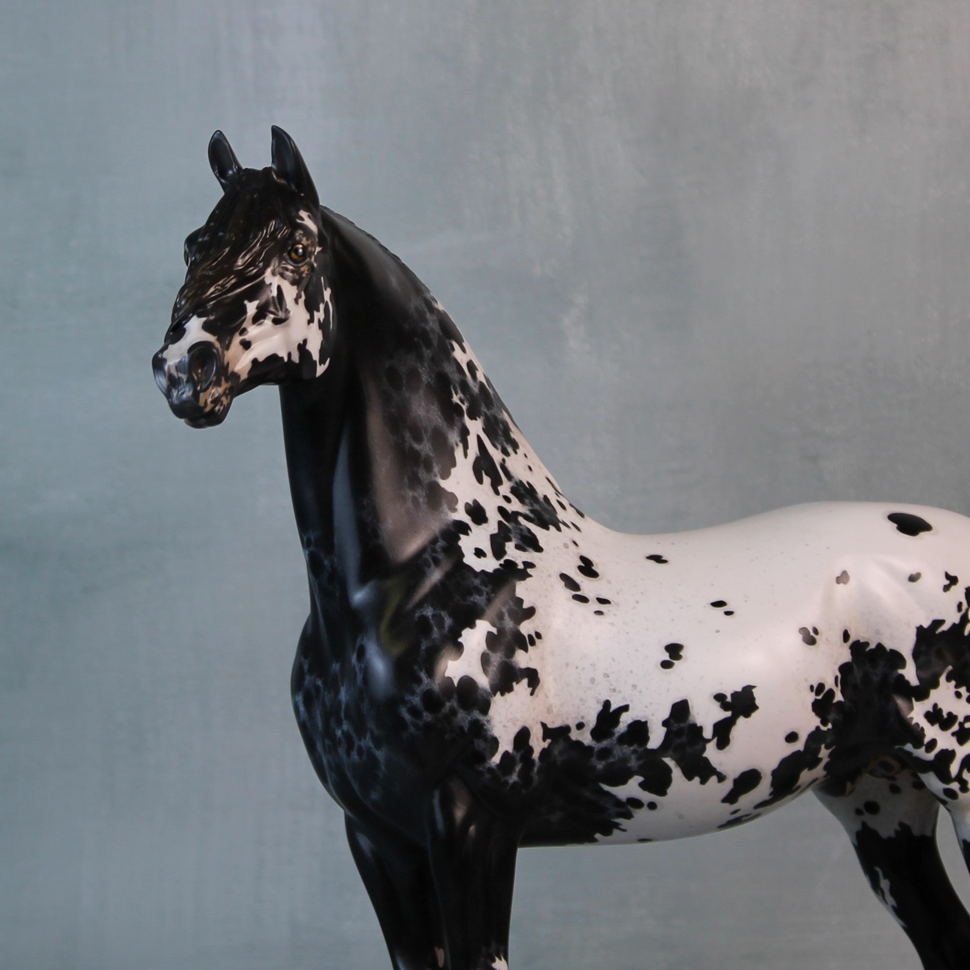 Endymion OOAK Black Appaloosa Custom Morgan By Jess Hamill Best Offers 9/10/24