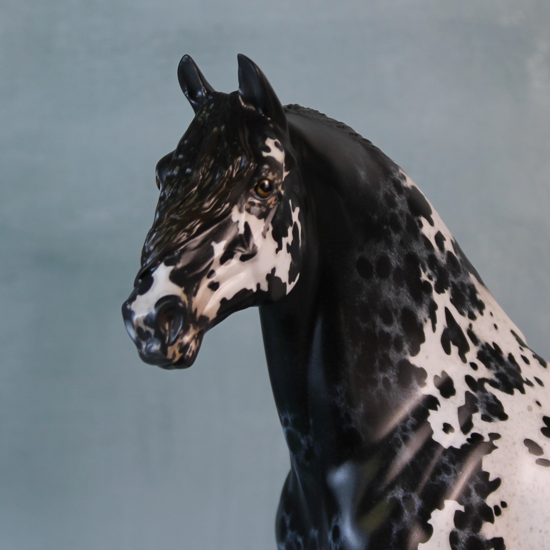 Endymion OOAK Black Appaloosa Custom Morgan By Jess Hamill Best Offers 9/10/24