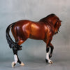 Reflected Flame OOAK Bay Custom Thoroughbred By Ellen Robbins Best Offers 9/10/24