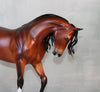 Reflected Flame OOAK Bay Custom Thoroughbred By Ellen Robbins Best Offers 9/10/24