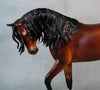 Reflected Flame OOAK Bay Custom Thoroughbred By Ellen Robbins Best Offers 9/10/24