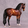 &quot;Fogata&quot; OOAK FCM Andalusian by Ellen Robbins SHCF25