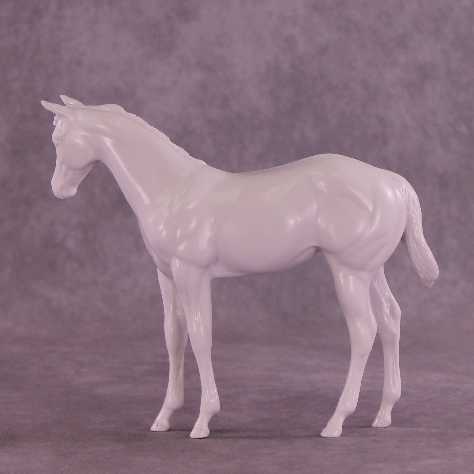 Design-A-Horse NEW FCM Stock Horse Weanling January Release DAH26 PM0264
