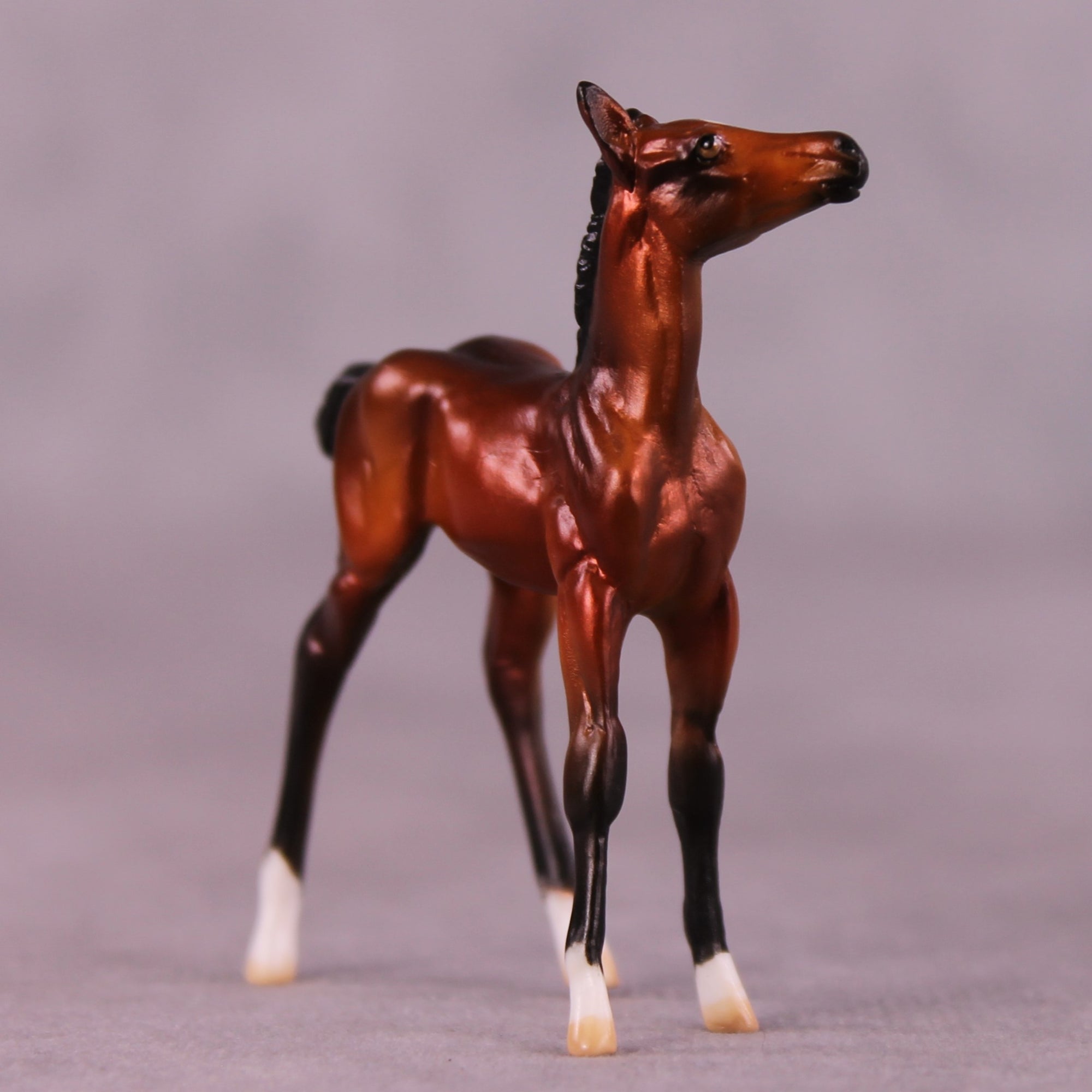 "Cynthia" OOAK Foal Chip by Julie Keim EQ25