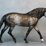 Princeton OOAK Dappled Grey Custom Irish Draught By Sheryl Leisure Best Offers 9/10/24