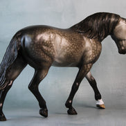 Princeton OOAK Dappled Grey Custom Irish Draught By Sheryl Leisure Best Offers 9/10/24