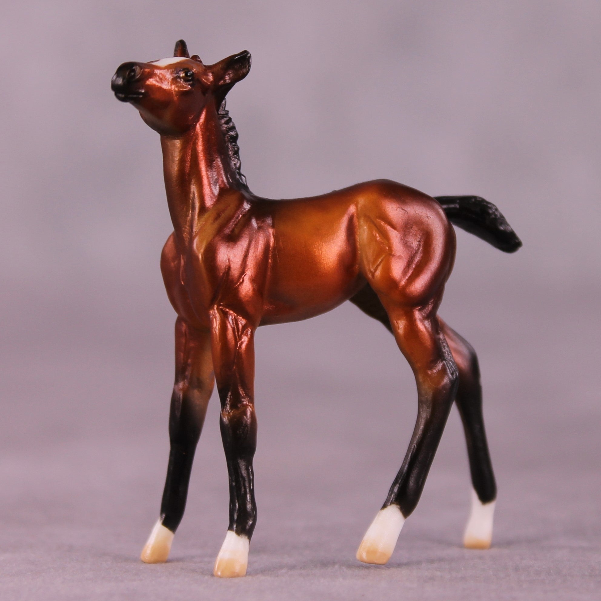 "Cynthia" OOAK Foal Chip by Julie Keim EQ25