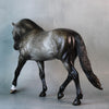 Princeton OOAK Dappled Grey Custom Irish Draught By Sheryl Leisure Best Offers 9/10/24