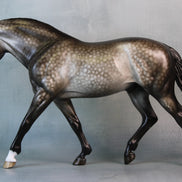 Princeton OOAK Dappled Grey Custom Irish Draught By Sheryl Leisure Best Offers 9/10/24