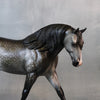 Princeton OOAK Dappled Grey Custom Irish Draught By Sheryl Leisure Best Offers 9/10/24