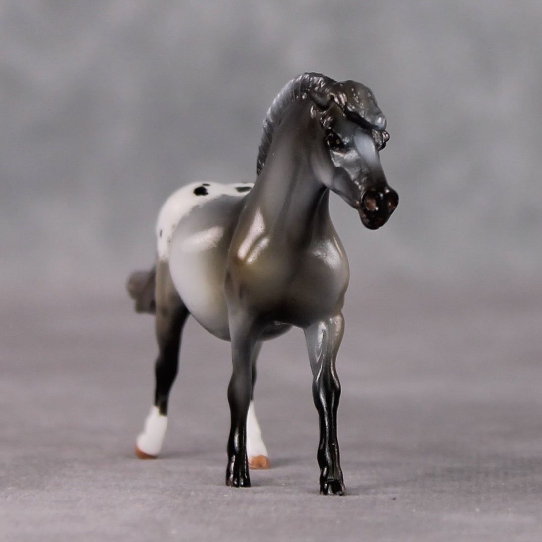 "Linguini" OOAK Custom Roan Blanket Appy Pony Chip By Kristen Cermele - Gemstone Series