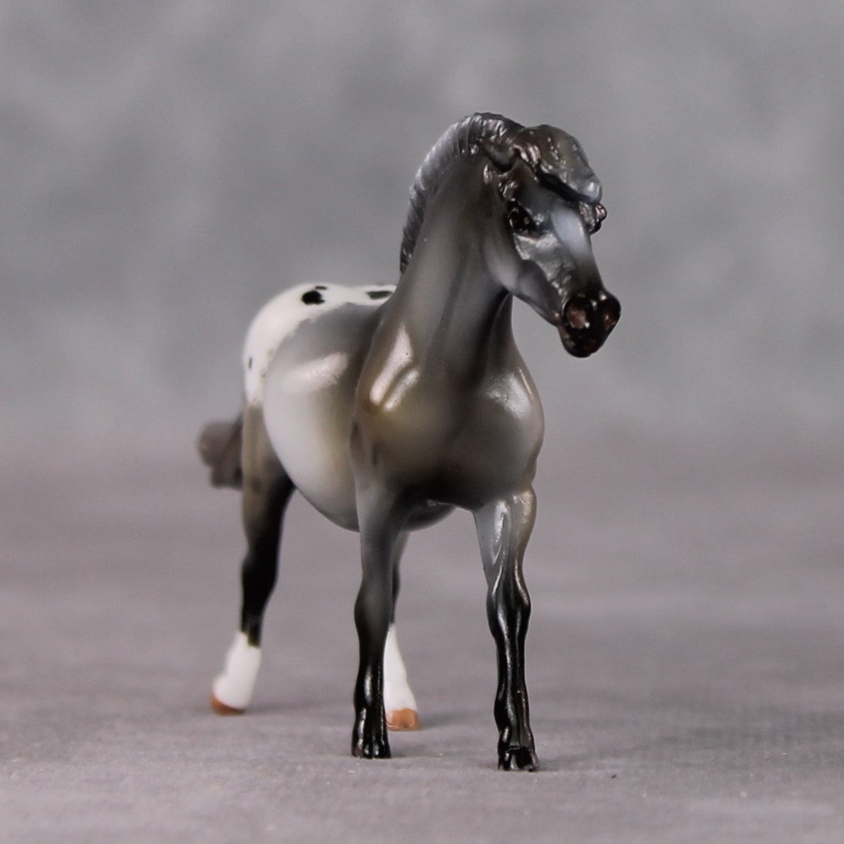 "Linguini" OOAK Custom Roan Blanket Appy Pony Chip By Kristin Cermele - Gemstone Series