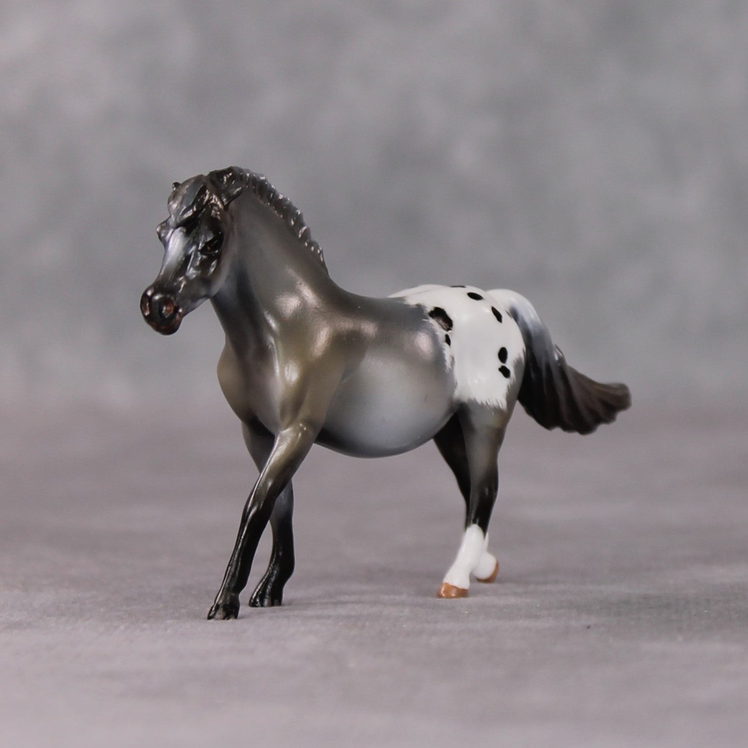 "Linguini" OOAK Custom Roan Blanket Appy Pony Chip By Kristin Cermele - Gemstone Series