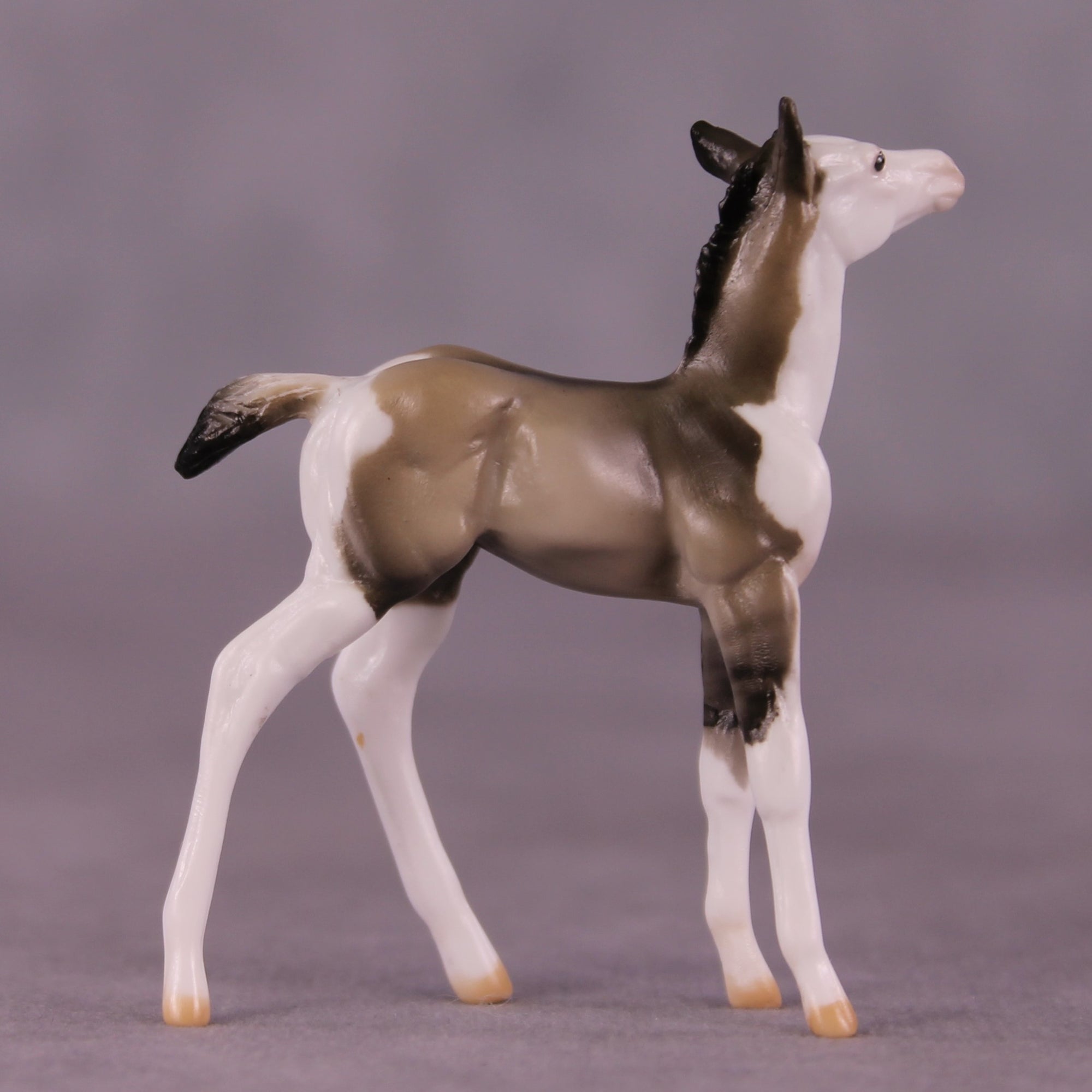 "Lydia" OOAK Foal Chip by Julie Keim EQ25