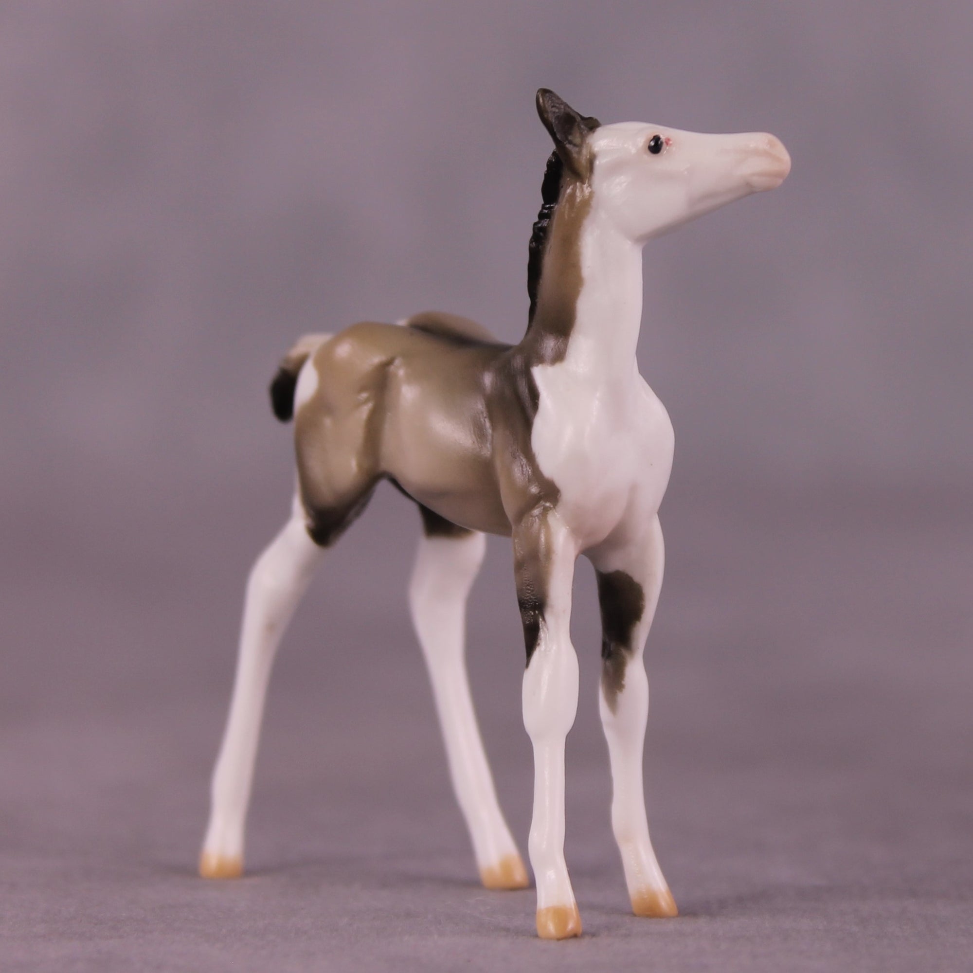 "Lydia" OOAK Foal Chip by Julie Keim EQ25