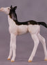 "Brooks" OOAK Foal Chip by Julie Keim EQ25