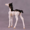 &quot;Brooks&quot; OOAK Foal Chip by Julie Keim EQ25