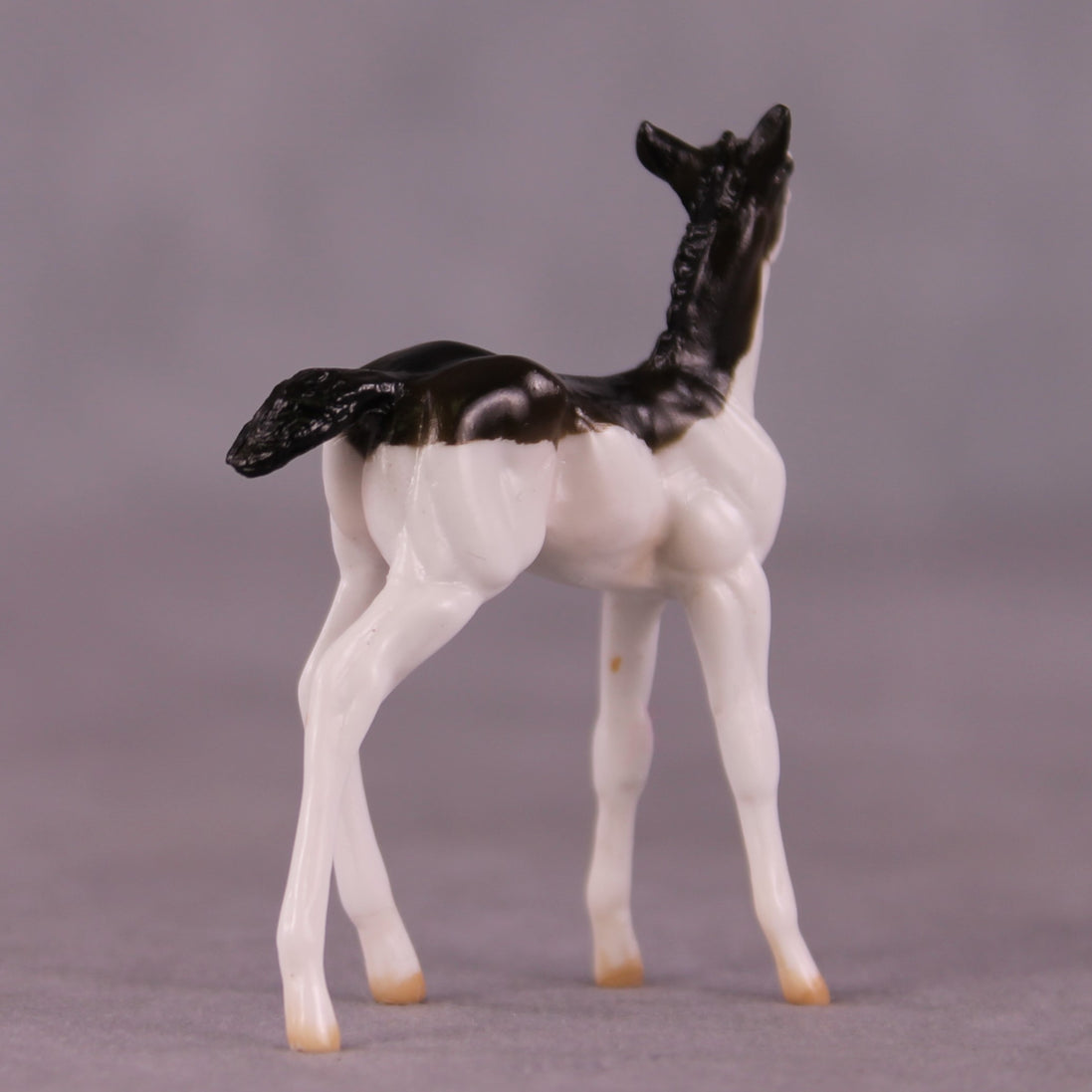 "Brooks" OOAK Foal Chip by Julie Keim EQ25