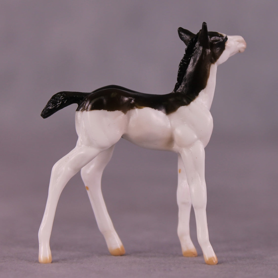 "Brooks" OOAK Foal Chip by Julie Keim EQ25