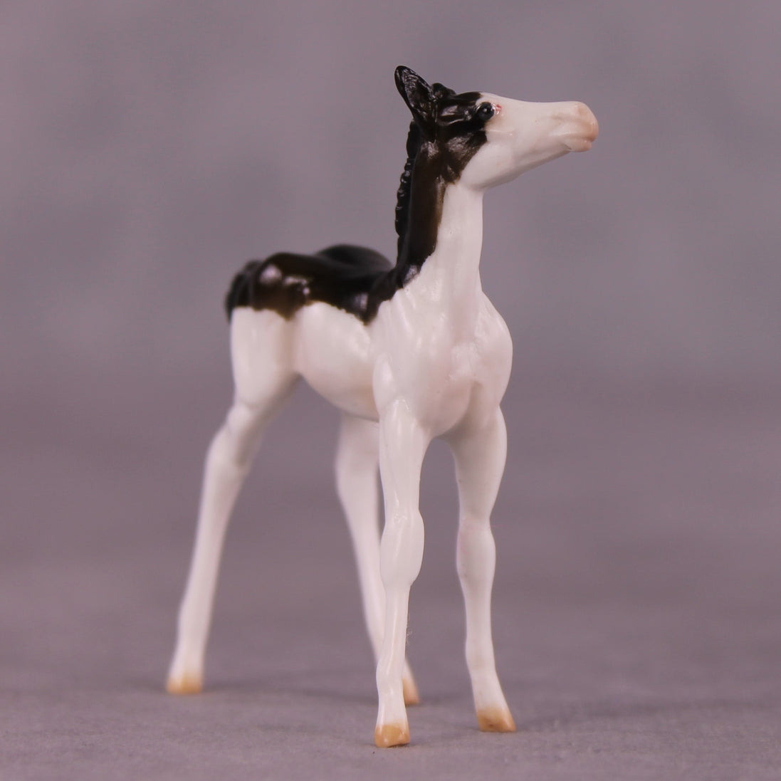 "Brooks" OOAK Foal Chip by Julie Keim EQ25