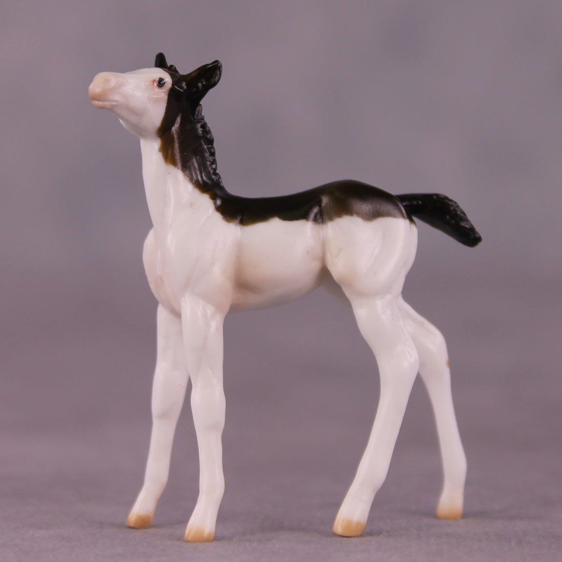 "Brooks" OOAK Foal Chip by Julie Keim EQ25