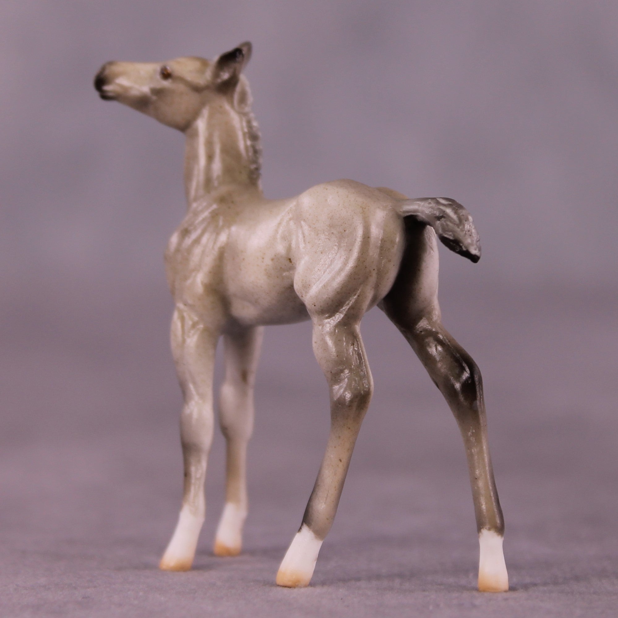 "Daya" OOAK Foal Chip by Julie Keim EQ25