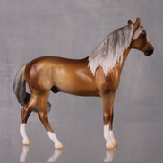 SAMPLE Warm & Toasty LE-20 Event Run Sooty Palomino Custom Andalusian Chip By Ashley Palmer LHS24