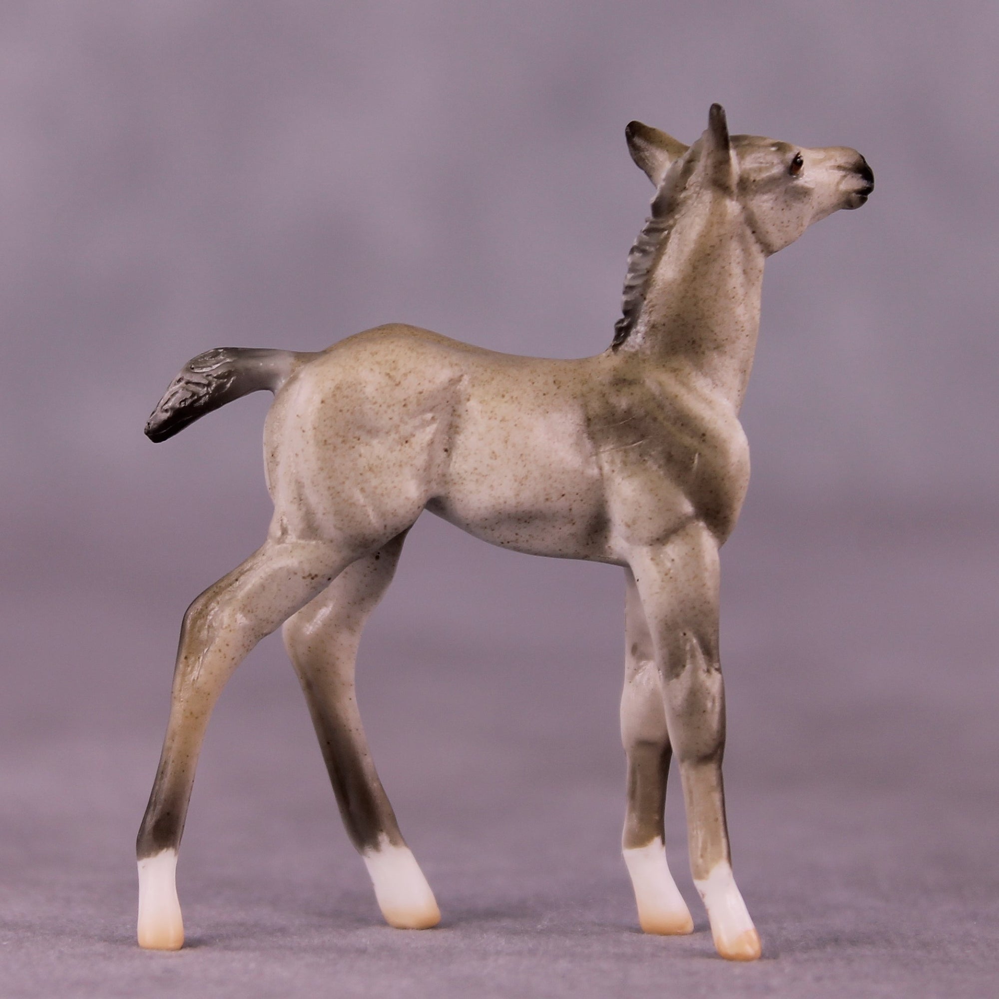 "Daya" OOAK Foal Chip by Julie Keim EQ25