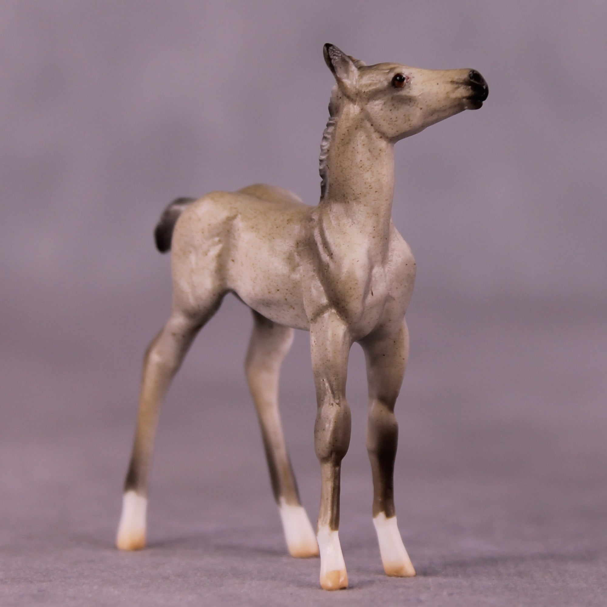 "Daya" OOAK Foal Chip by Julie Keim EQ25