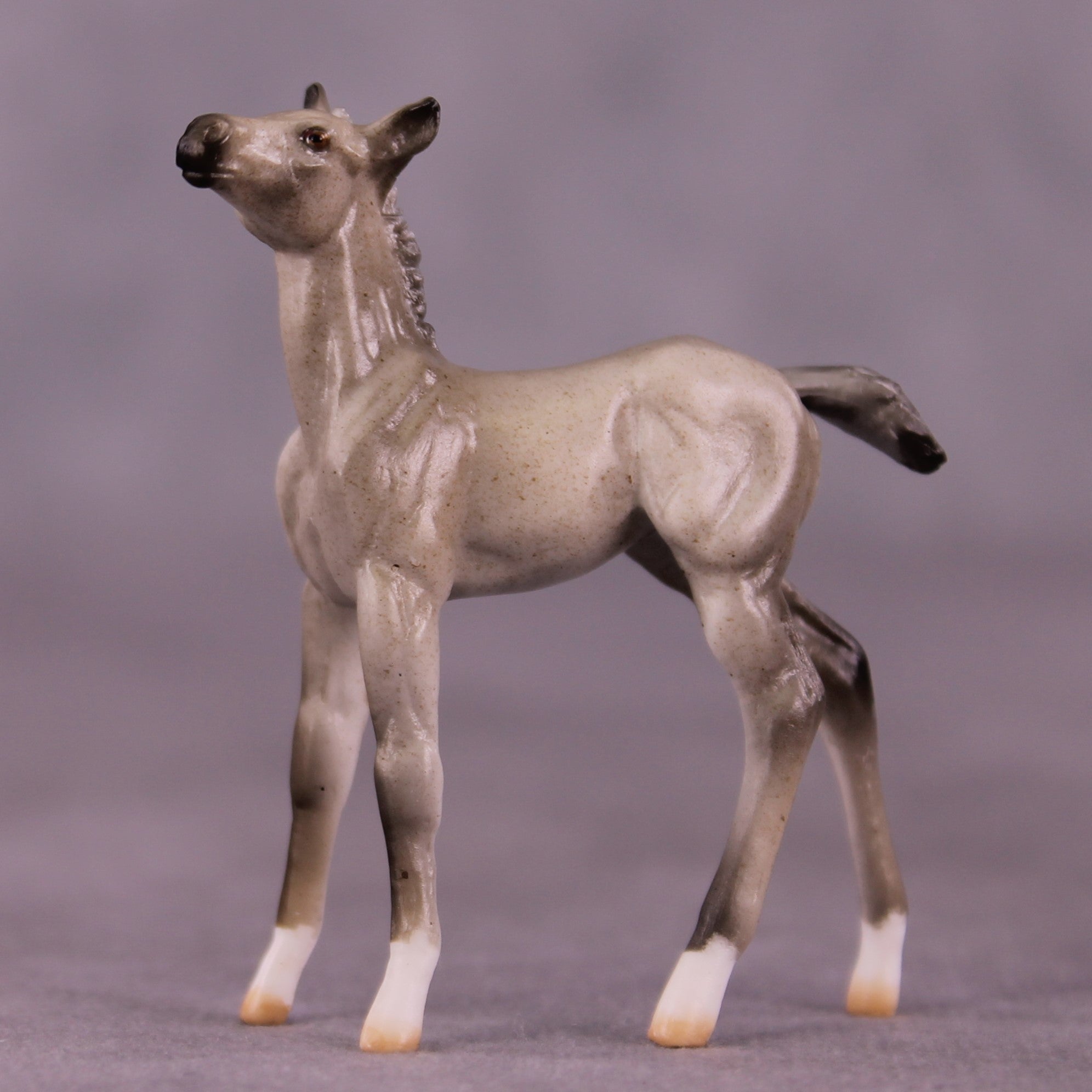 "Daya" OOAK Foal Chip by Julie Keim EQ25