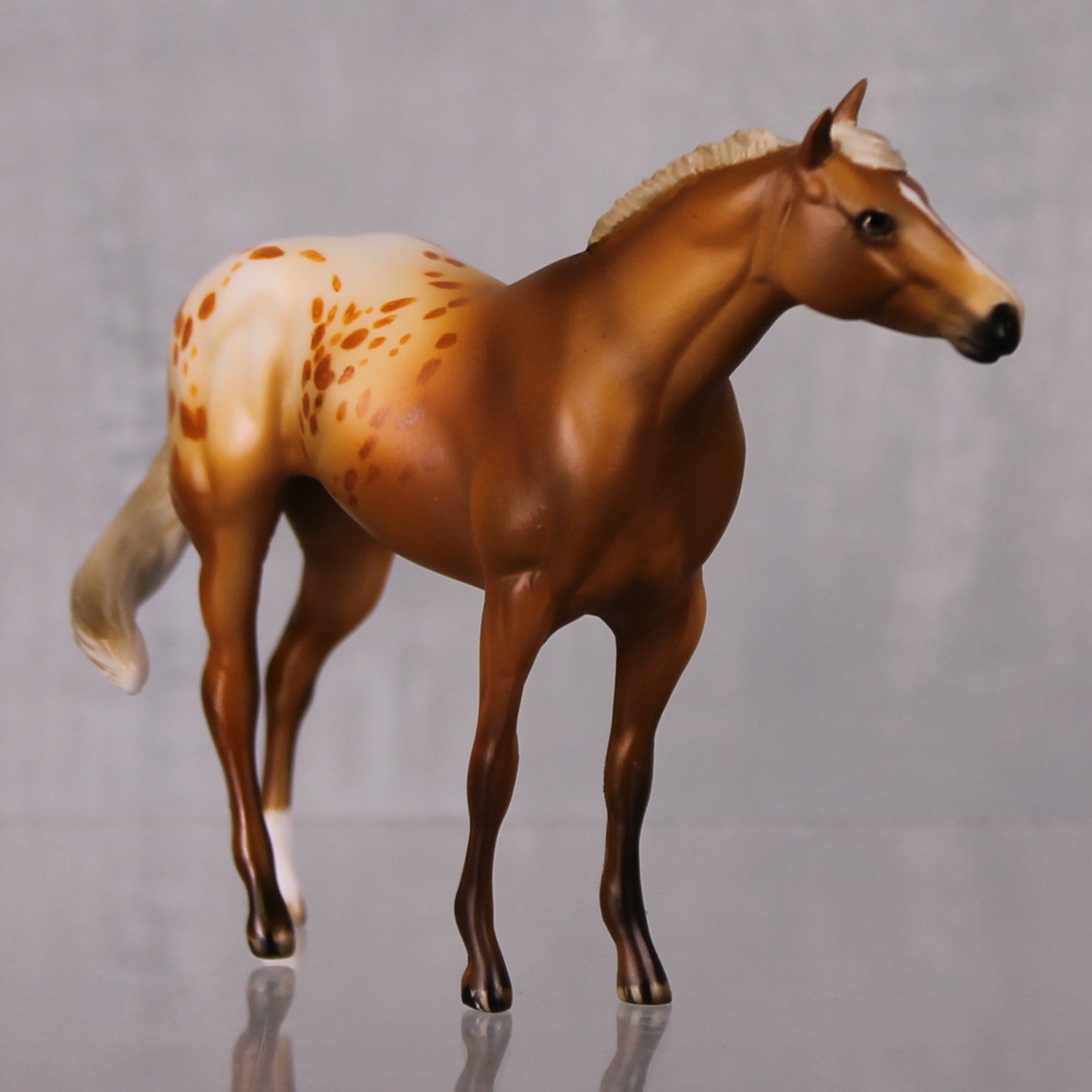 SAMPLE SET Pumpkin Spice and Cinnamon LE-10 Event Run Custom Chestnut Appaloosa Stock Chip and Custom Chip Foal Set By Julie Keim LHS24