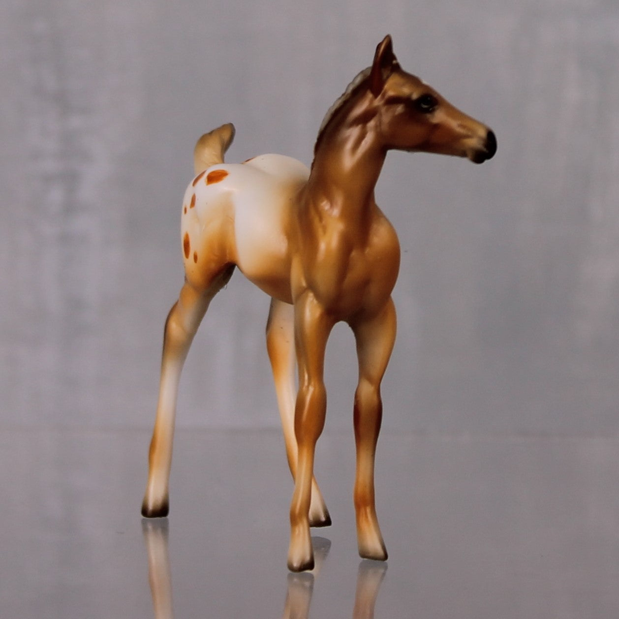 SAMPLE SET Pumpkin Spice and Cinnamon LE-10 Event Run Custom Chestnut Appaloosa Stock Chip and Custom Chip Foal Set By Julie Keim LHS24