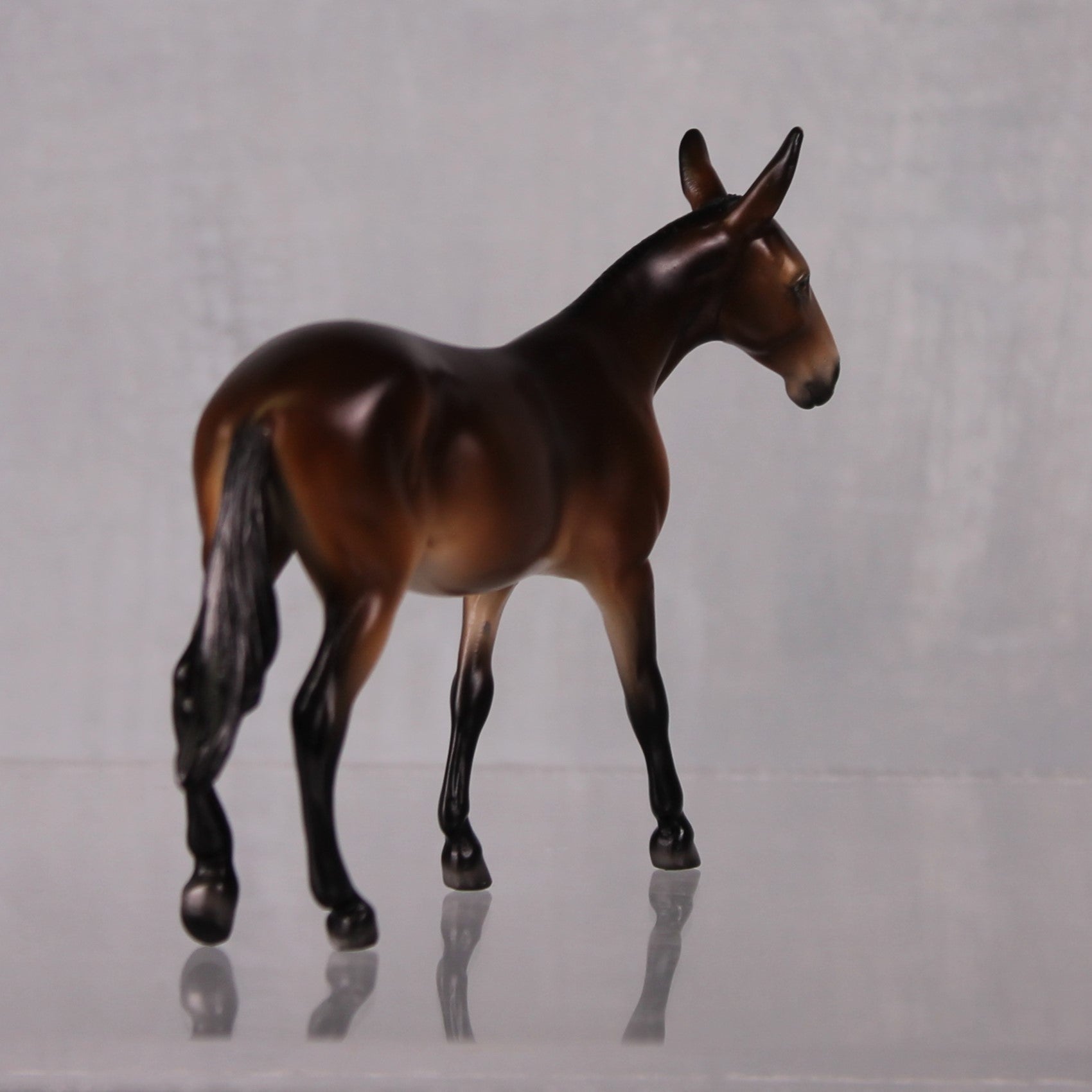 SAMPLE Little Miss Maple LE-30 Event Run Bay Pangare Custom Mule Chip By Ellen Robbins LHS24