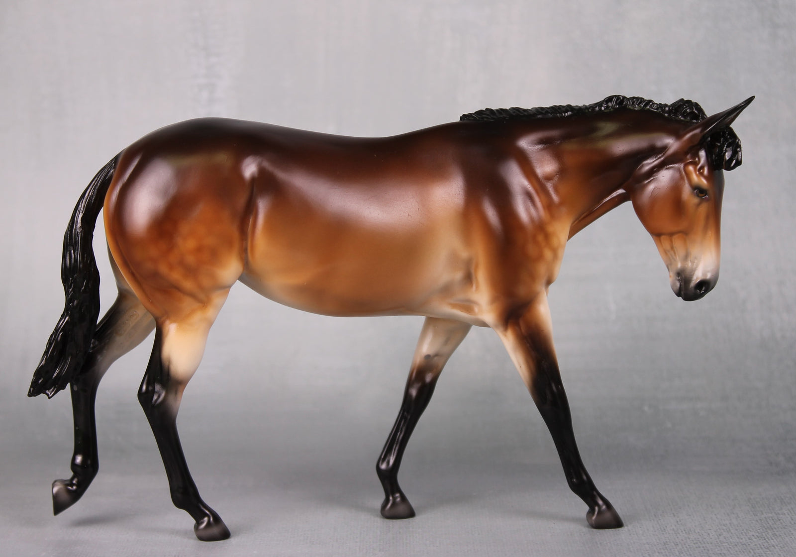 SAMPLE Miss Maple LE-30 Event Run Dappled Bay Pangare Custom Pebble Mule By Ellen Robbins LHS24