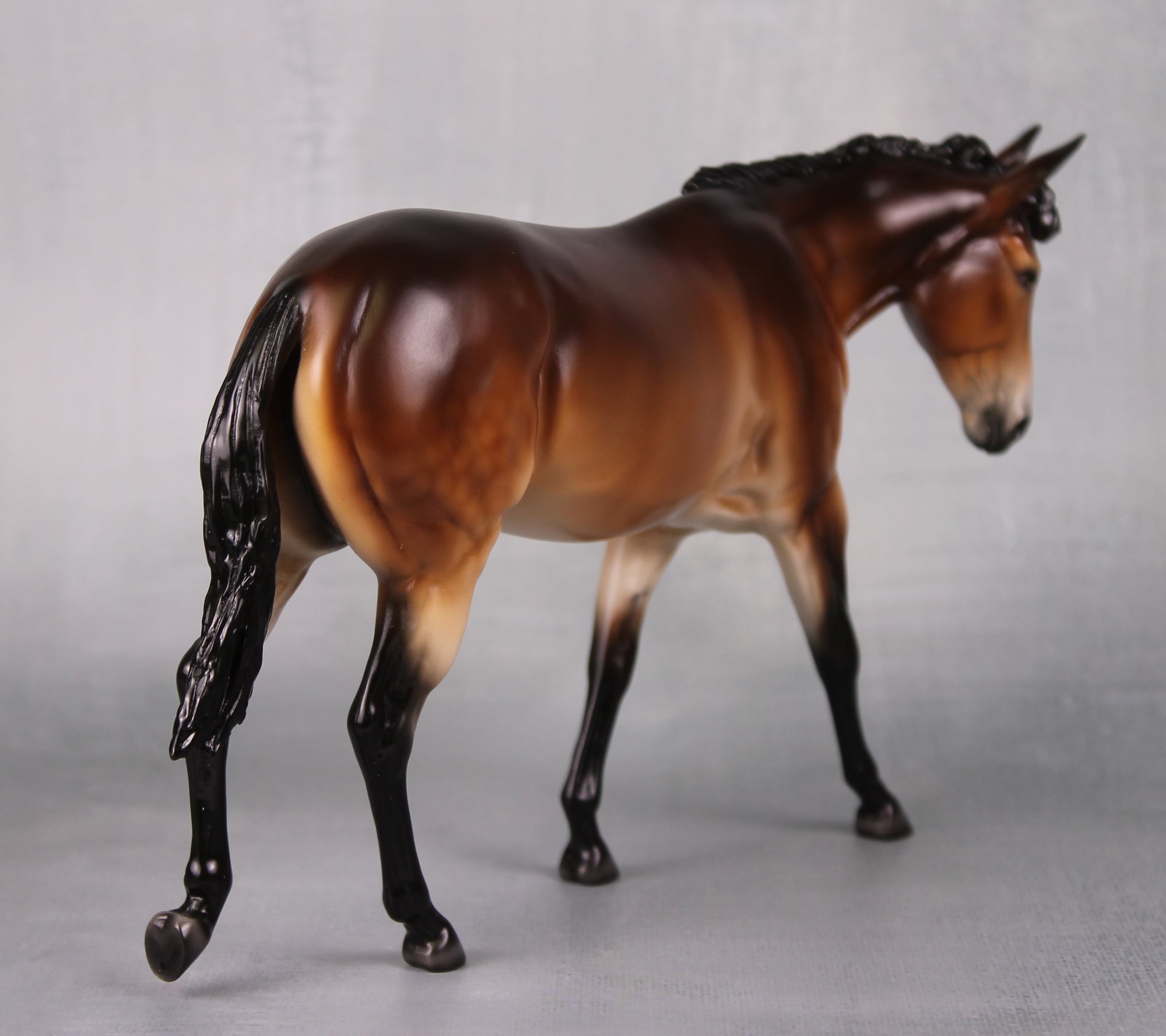 SAMPLE Miss Maple LE-30 Event Run Dappled Bay Pangare Custom Pebble Mule By Ellen Robbins LHS24