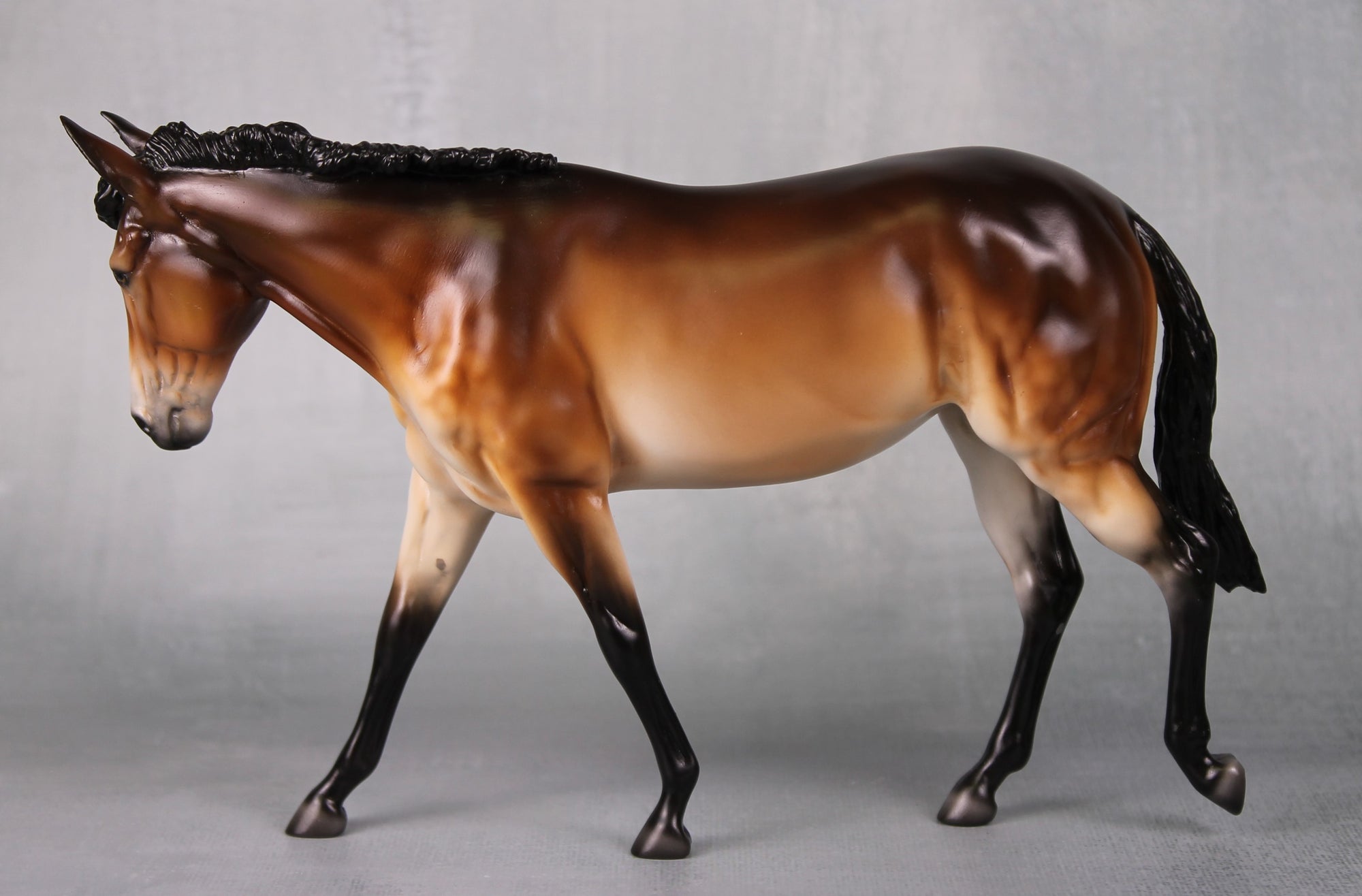 SAMPLE Miss Maple LE-30 Event Run Dappled Bay Pangare Custom Pebble Mule By Ellen Robbins LHS24