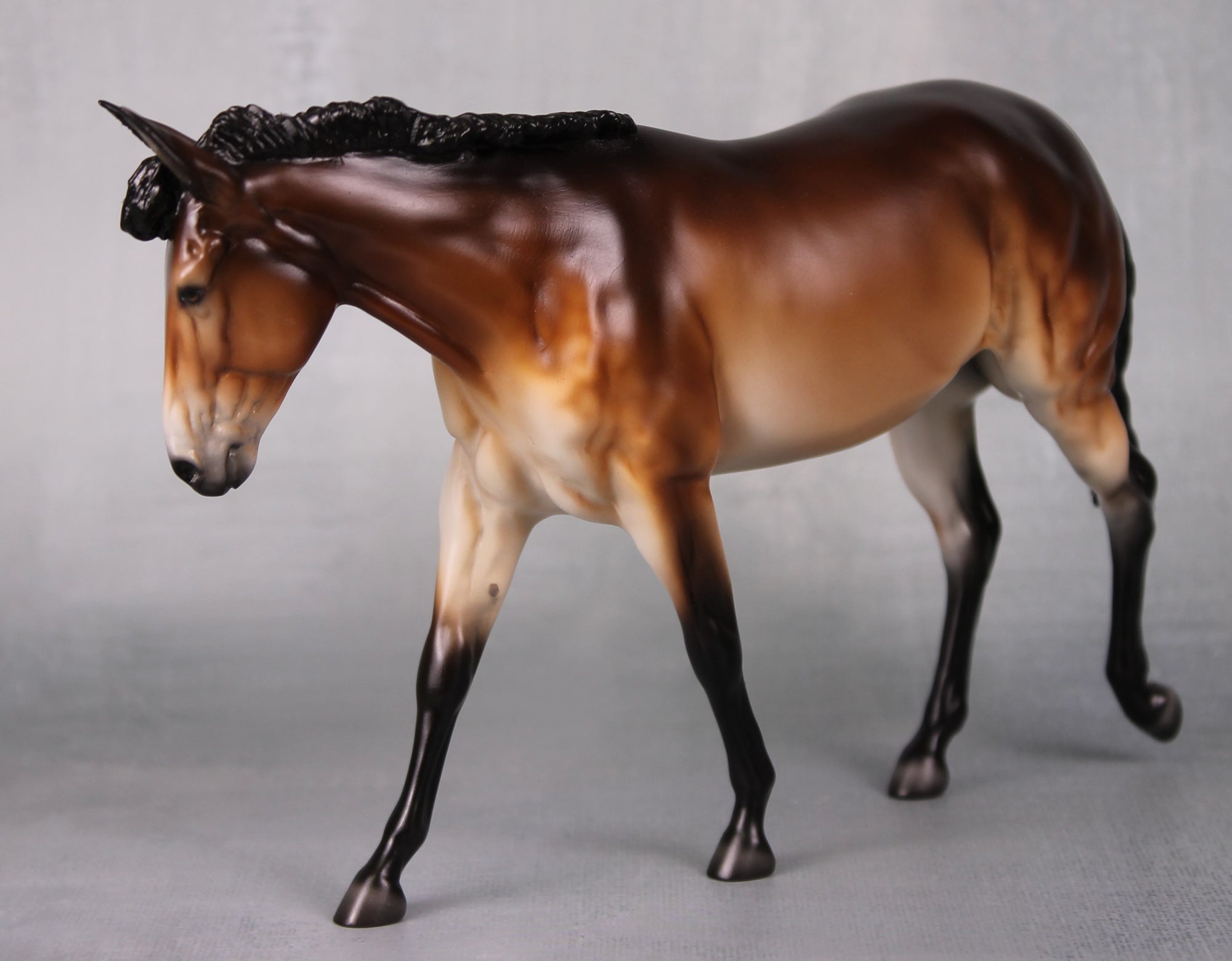 SAMPLE Miss Maple LE-30 Event Run Dappled Bay Pangare Custom Pebble Mule By Ellen Robbins LHS24